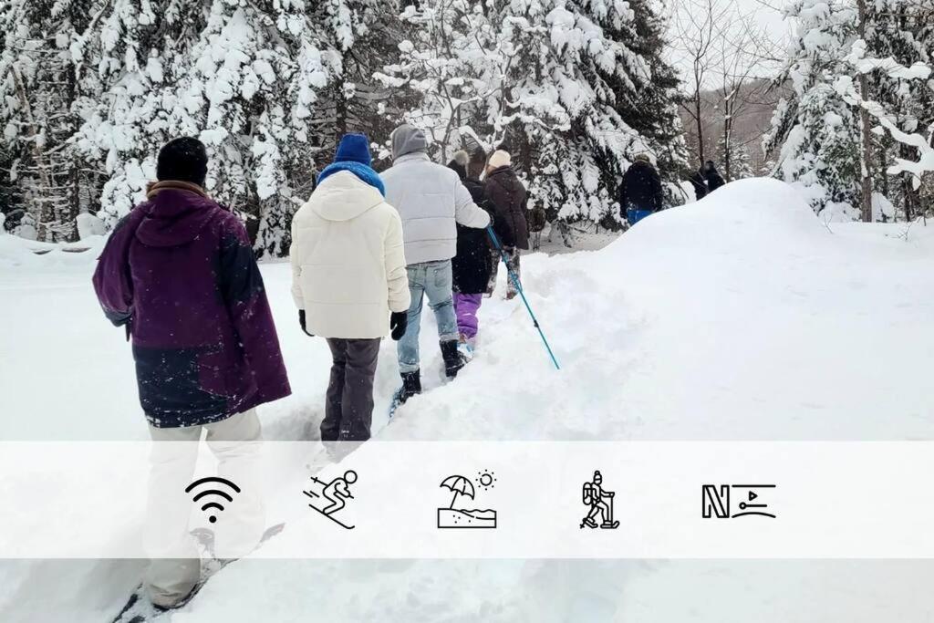 Le Petit Loft du boisé - Nature et ski