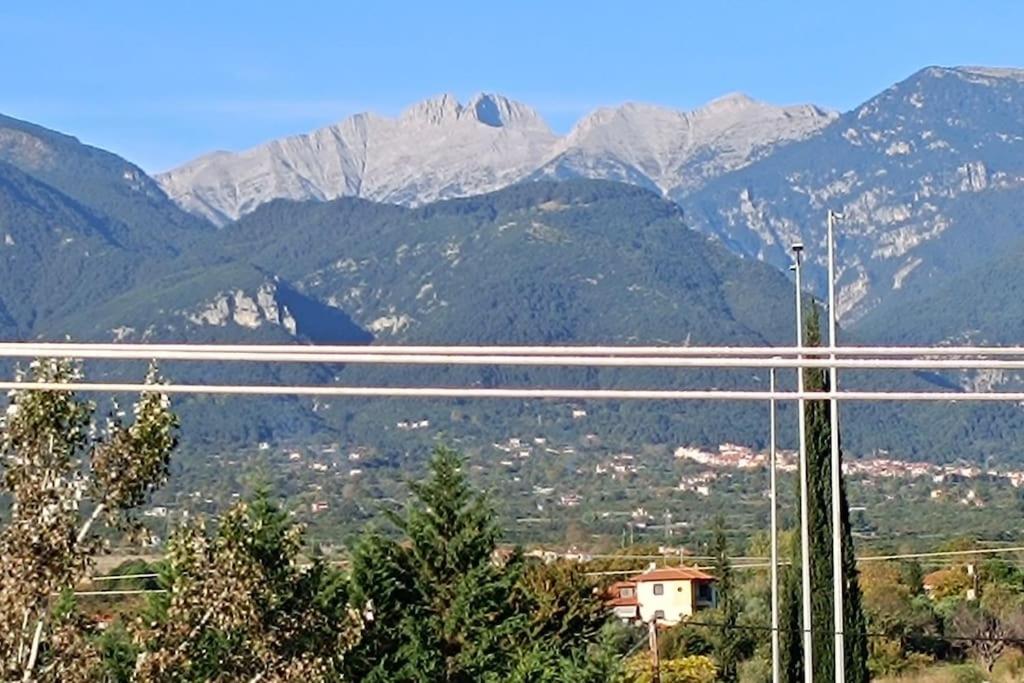 Villa IHOR- Private Pool Villa -Pieria view 3