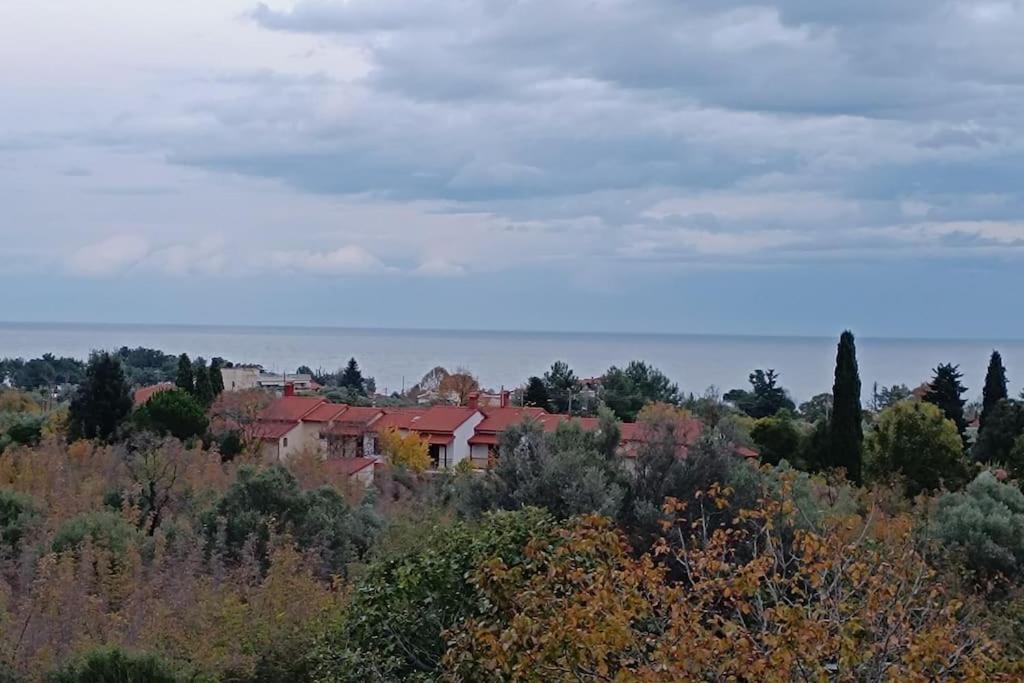 Villa IHOR- Private Pool Villa -Pieria view 4