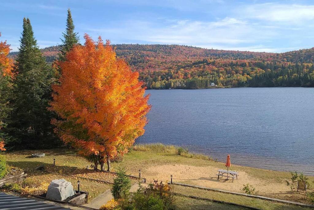 Chalet de l'Auberge: Lac avec Plage, SPA & Billard