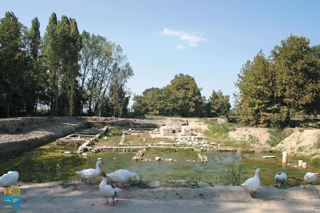 Photo 48