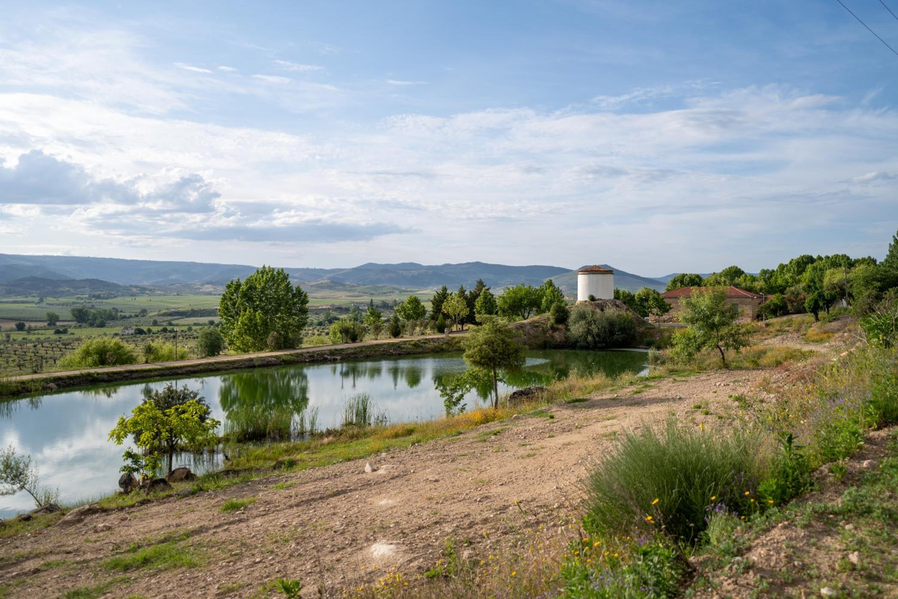 Quinta da Terrincha