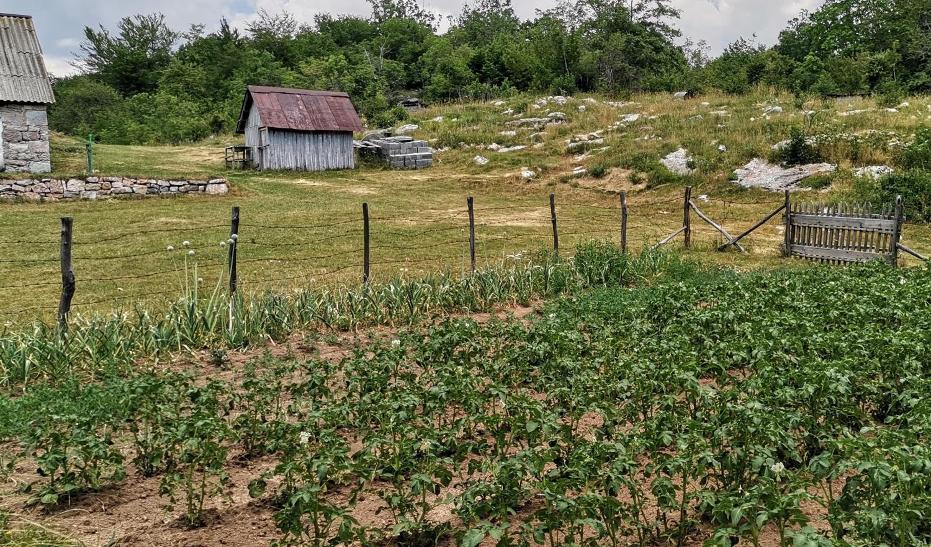 Etno Selo Ja. view 2