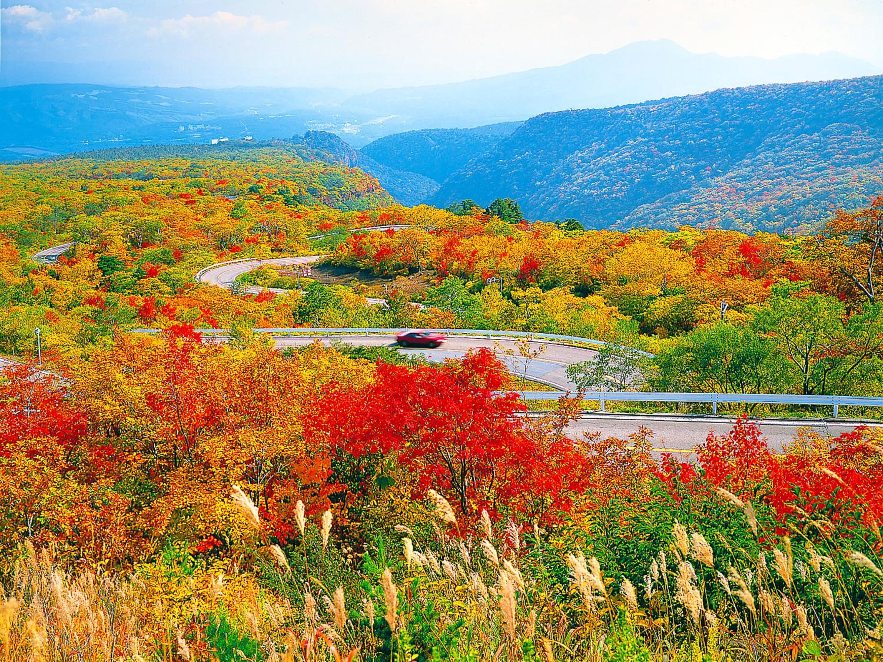 竹泉荘 Chikusenso Onsen