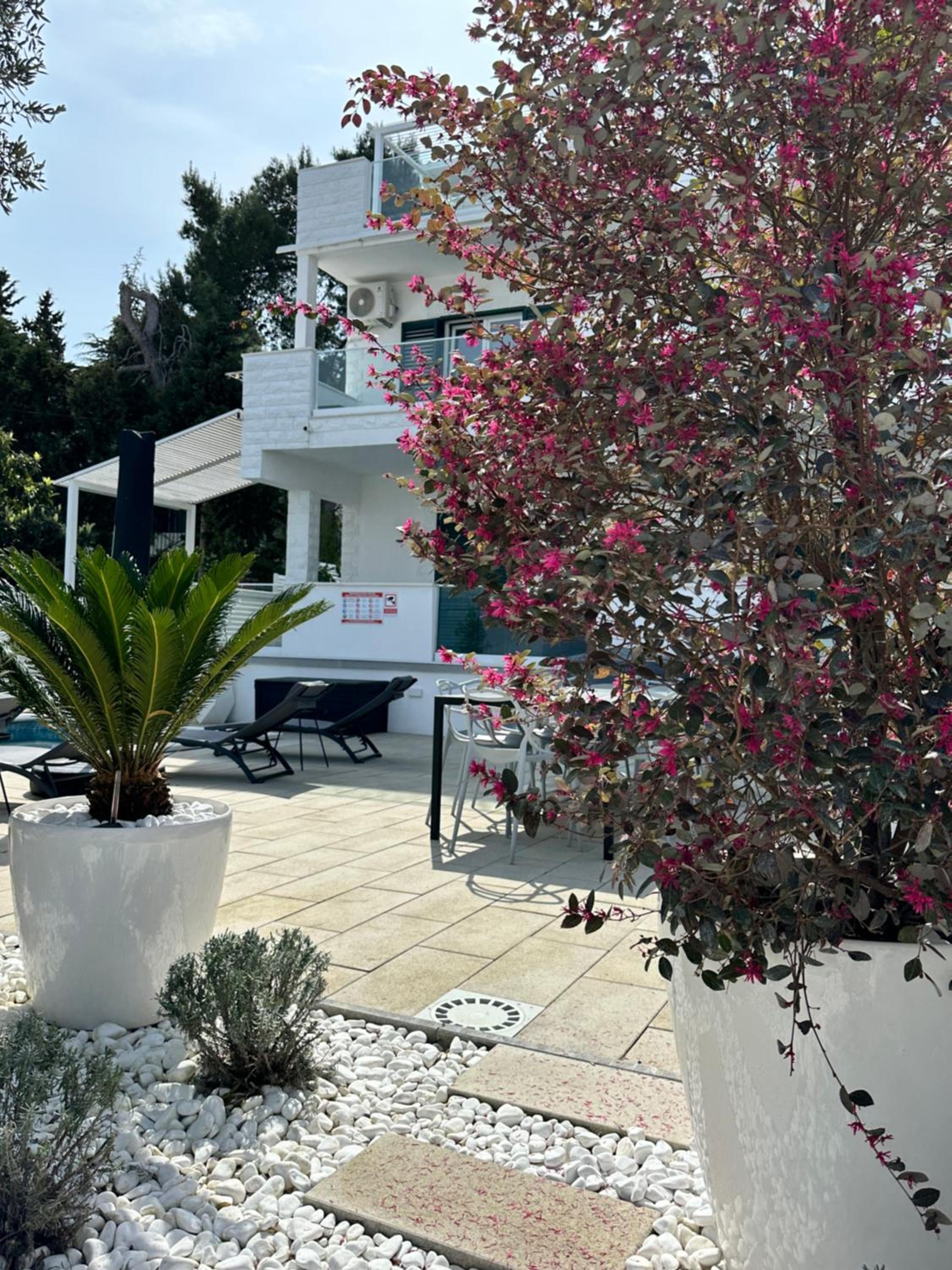 Apartments Marina