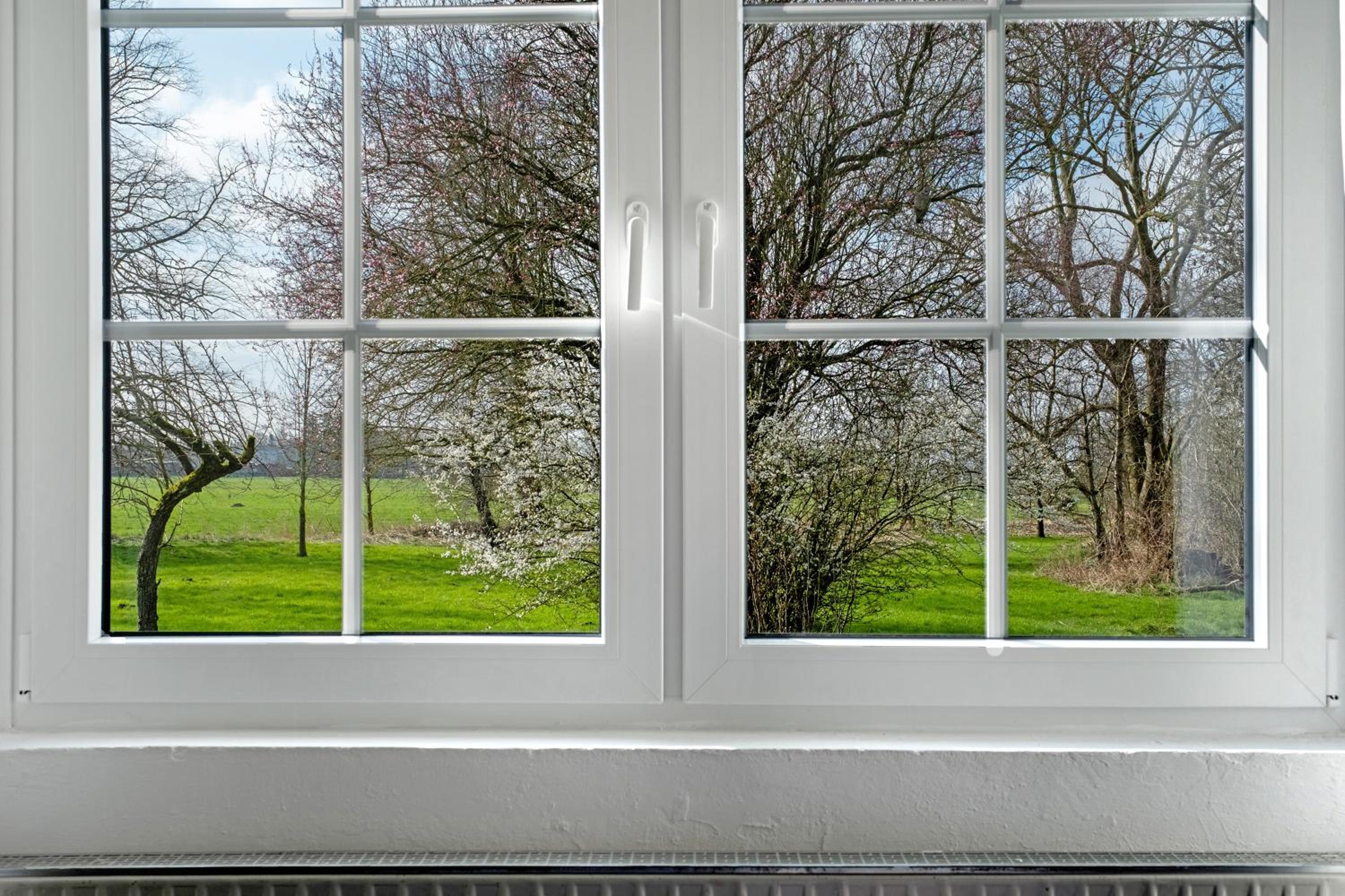 Galerie Haus Wohnung 4 view 4
