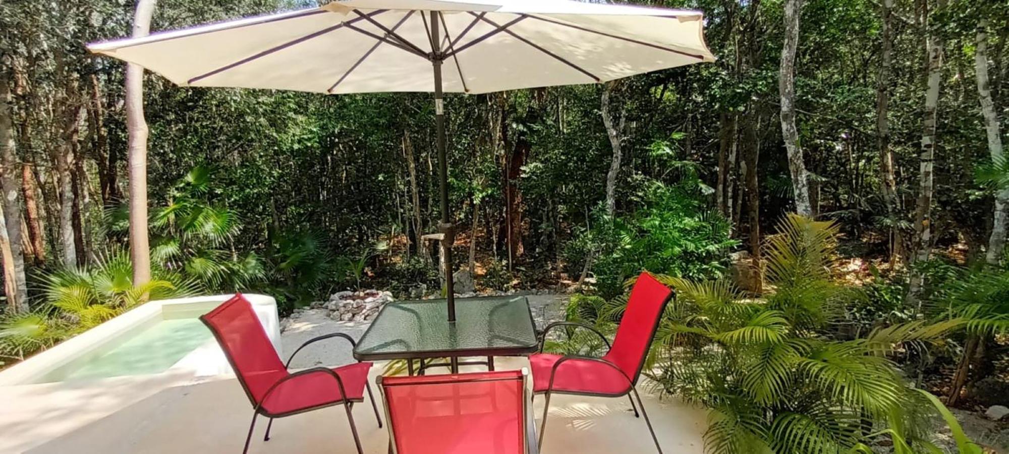 Viila Ixchel jungle pool view 5