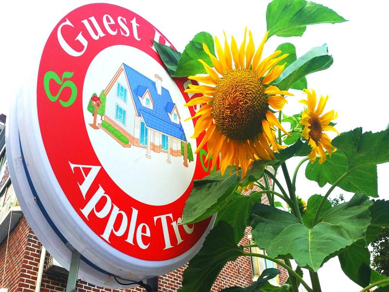 Appletree Guesthouse