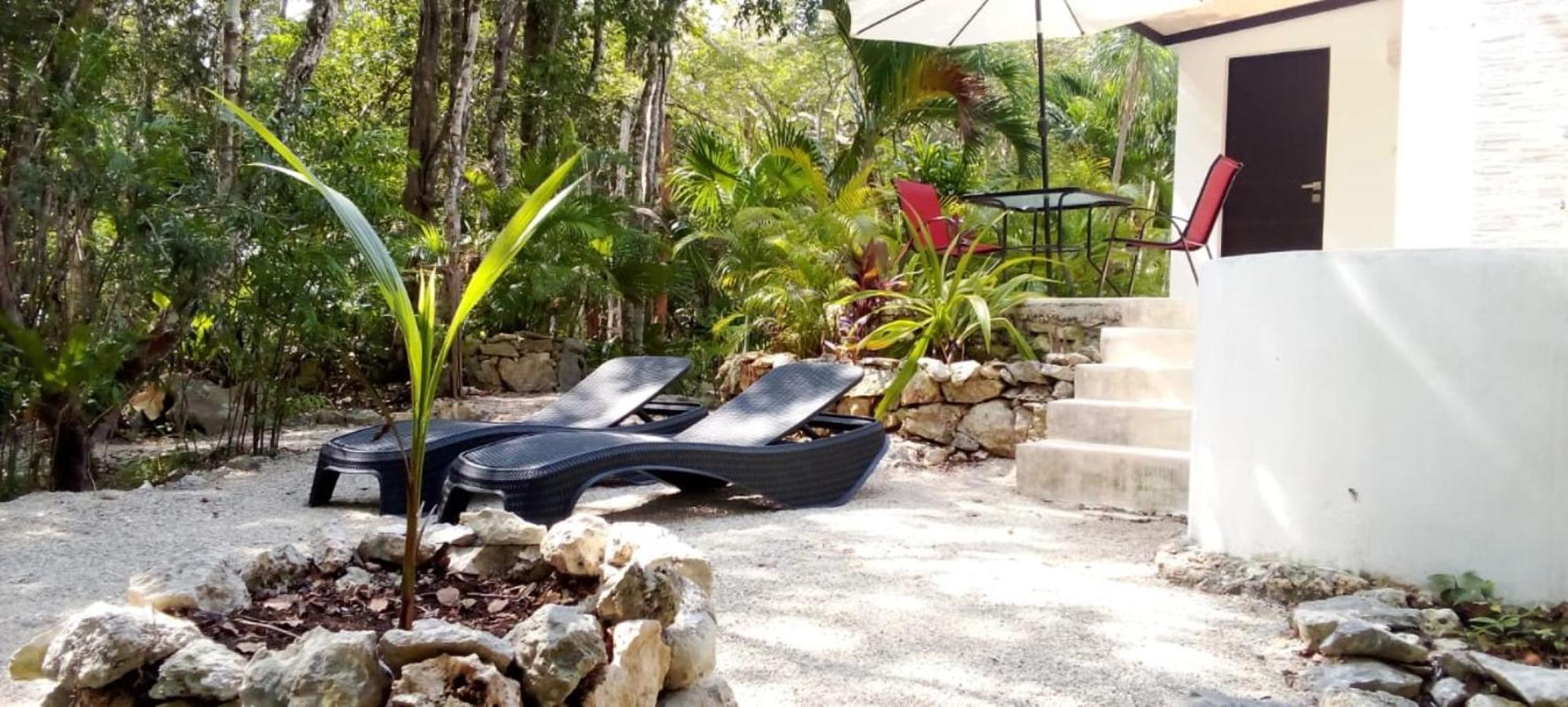 Viila Ixchel jungle pool view 3