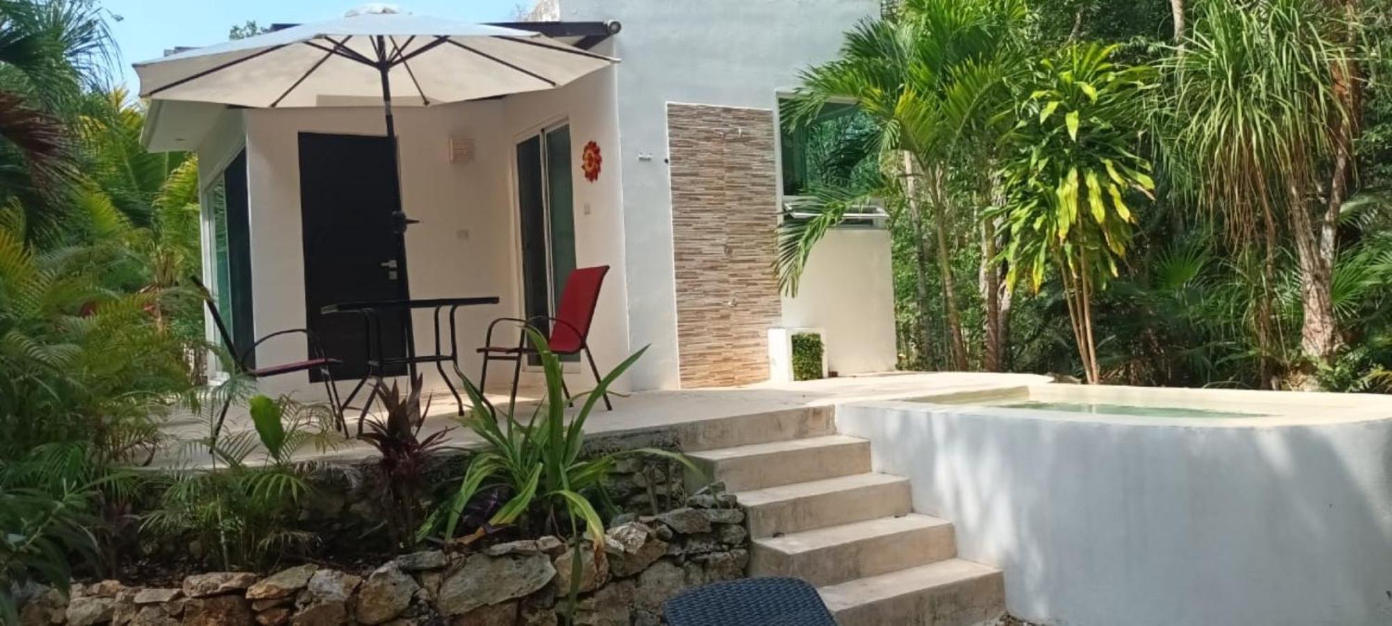 Viila Ixchel jungle pool view 4