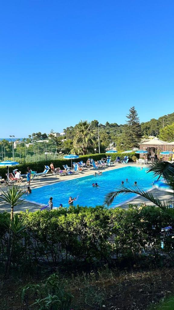 Camping Villaggio Internazionale