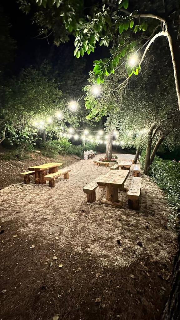 Camping Villaggio Internazionale