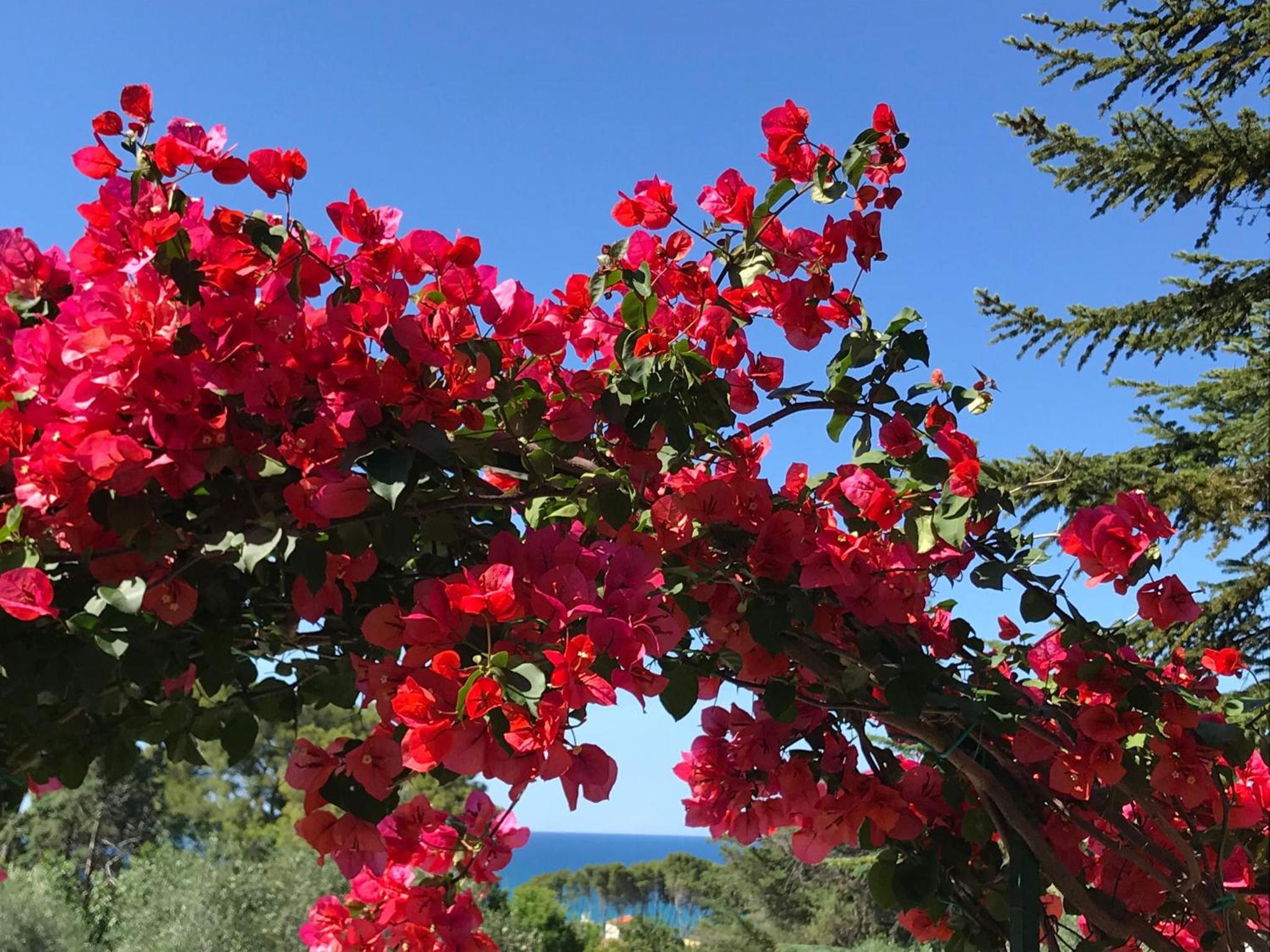 Camping Villaggio Internazionale