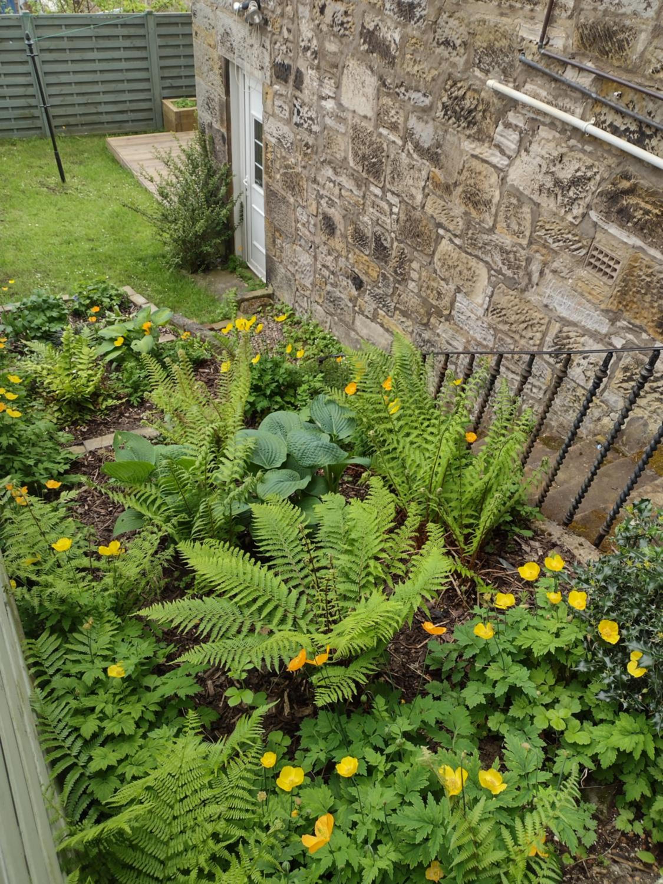 Photo 31