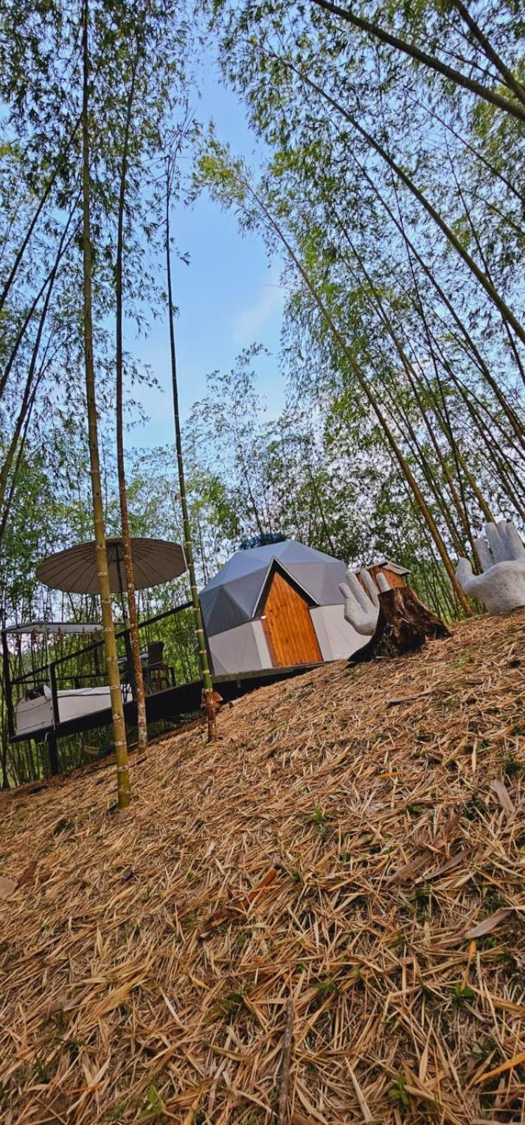 Glamping y Cabañas Alpina