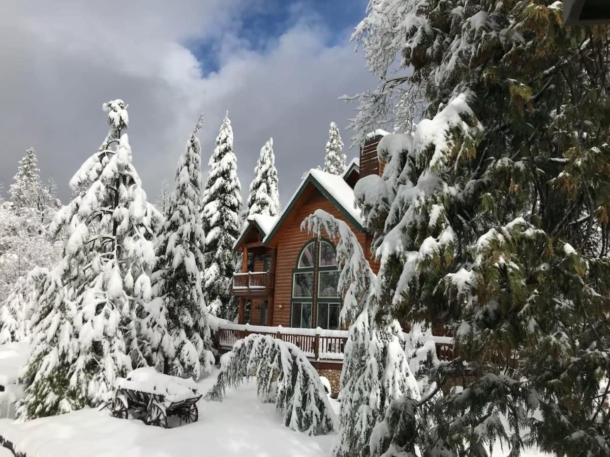 Black Bear Lodge Reduced Nightly Rate view 2