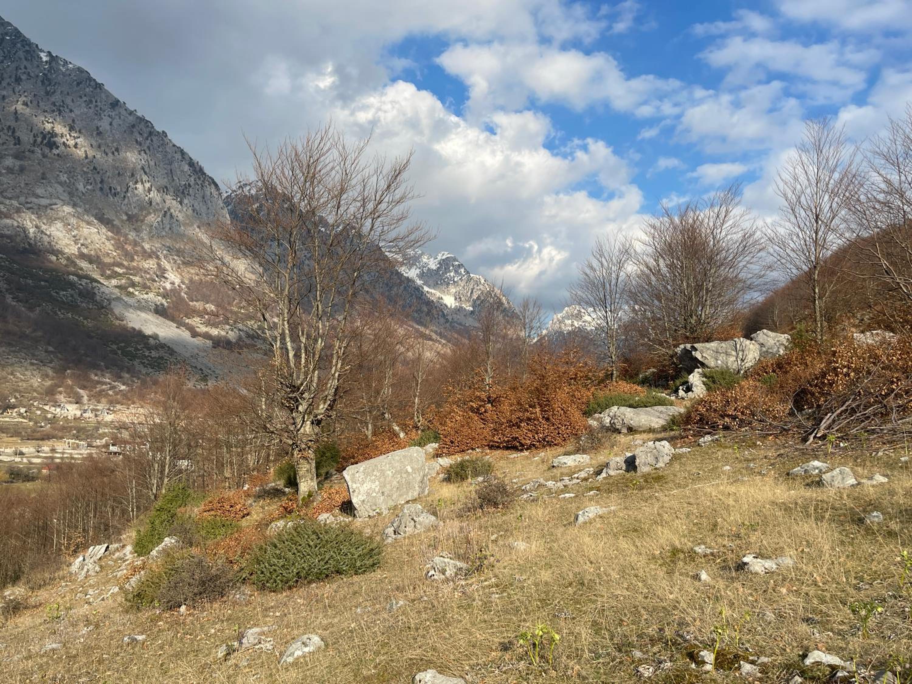 Paja Guesthouse - Camping