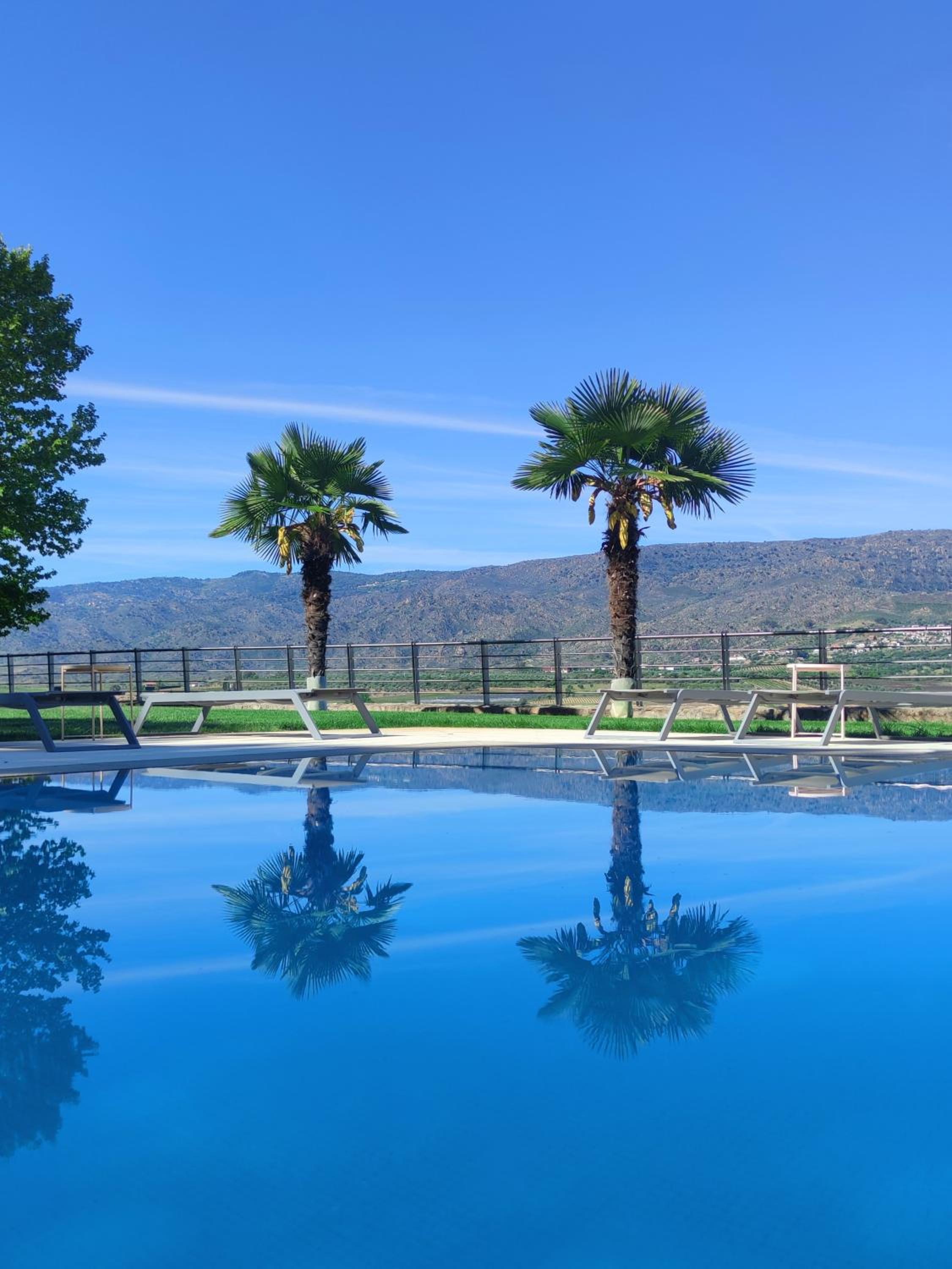 Quinta da Terrincha