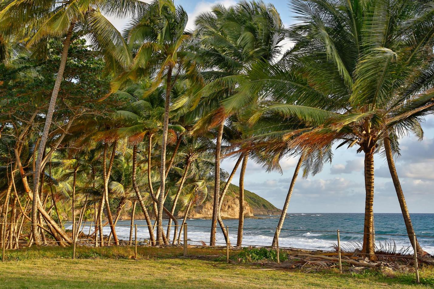 Maison d'Ô Baie de Saint-Jacques, sur une plage sauvage view 4