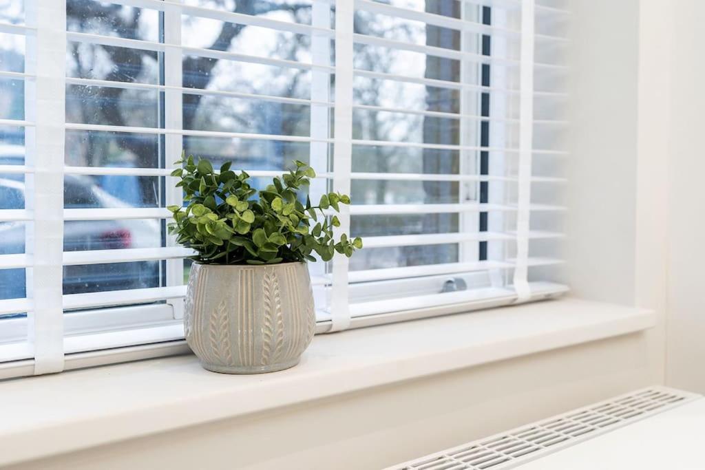 Charming Granby Flat