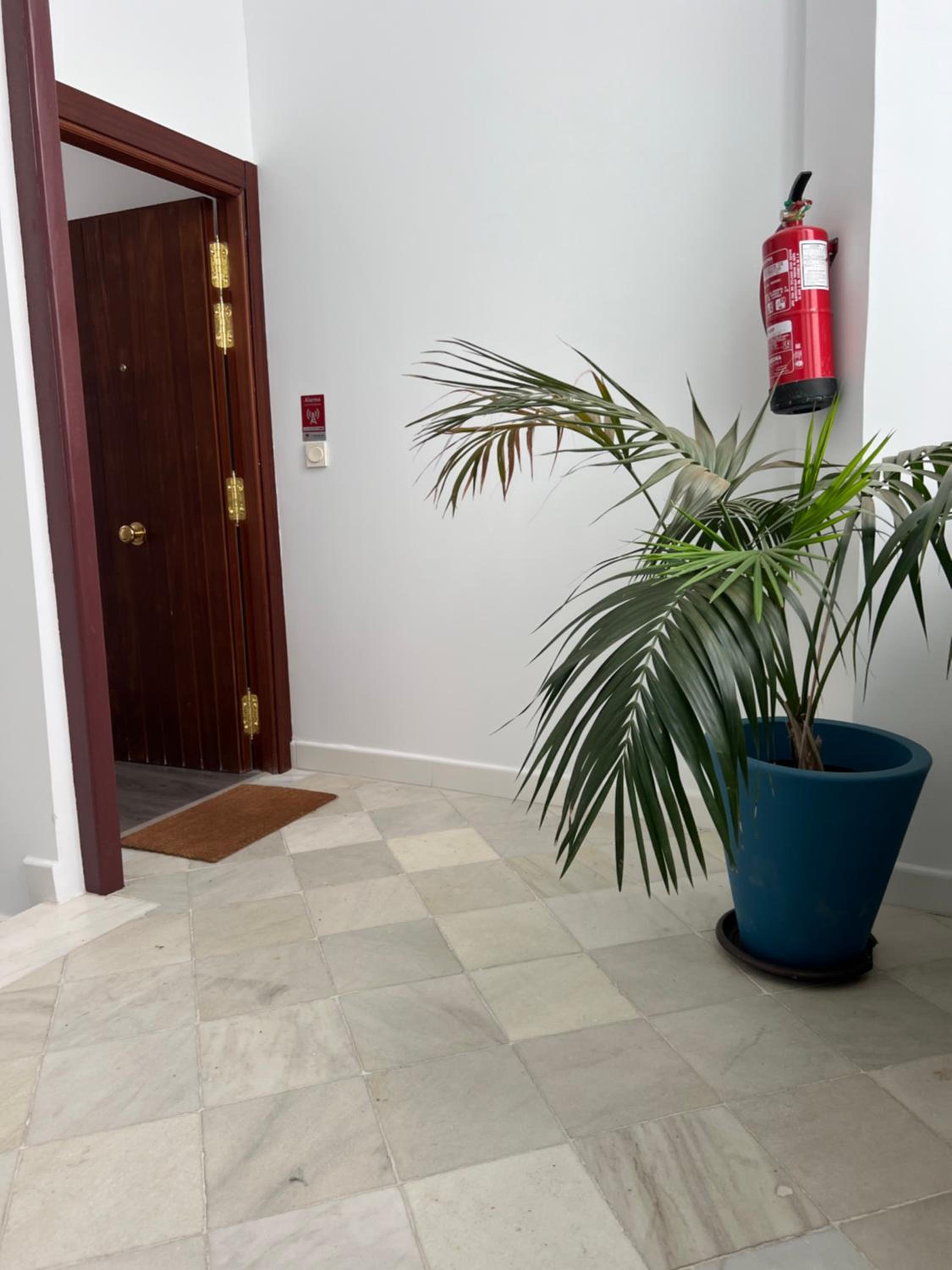 Cozy Apartment Malaga Center near Teatro Cervantes