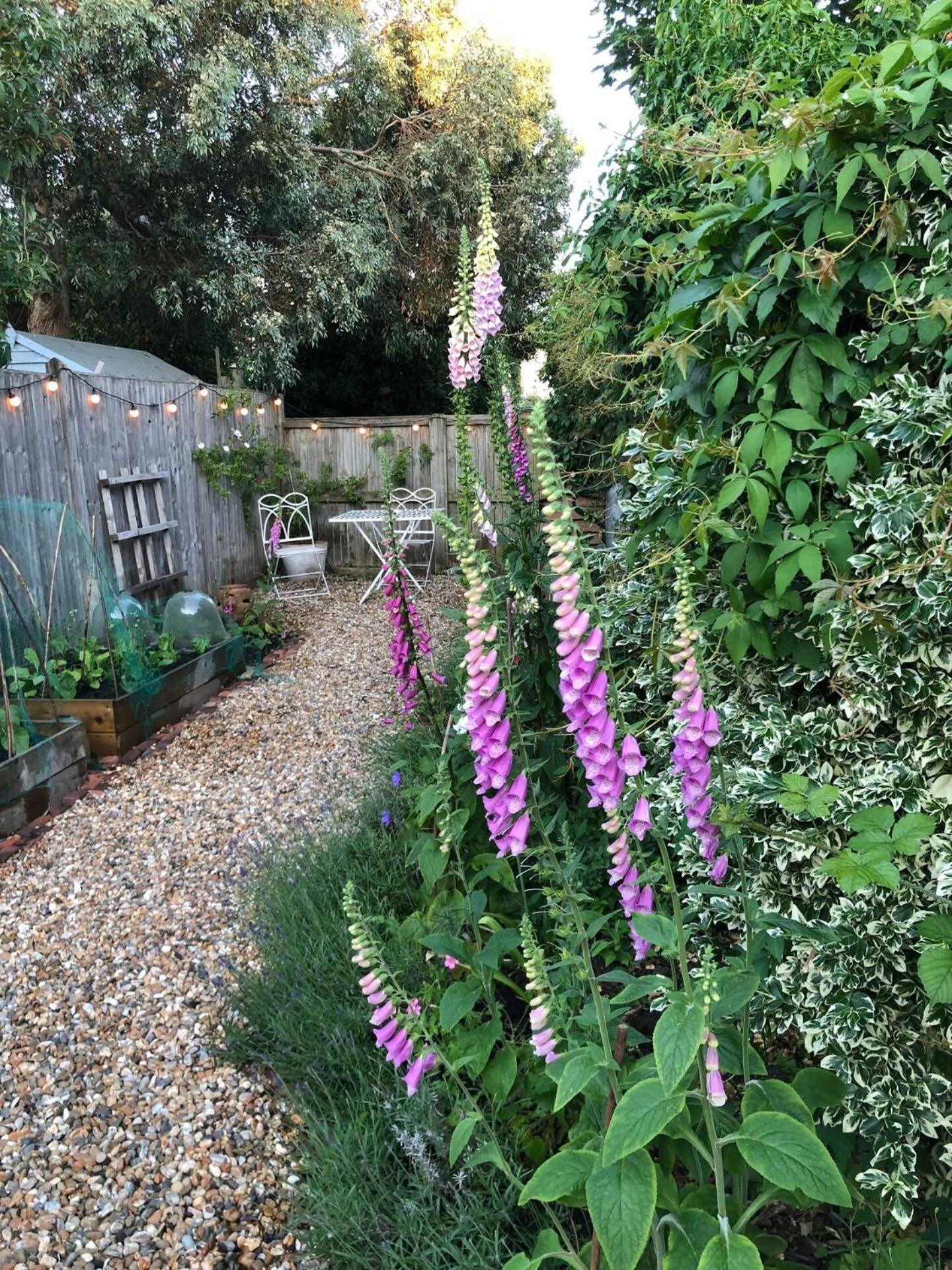 Juniper Cottage