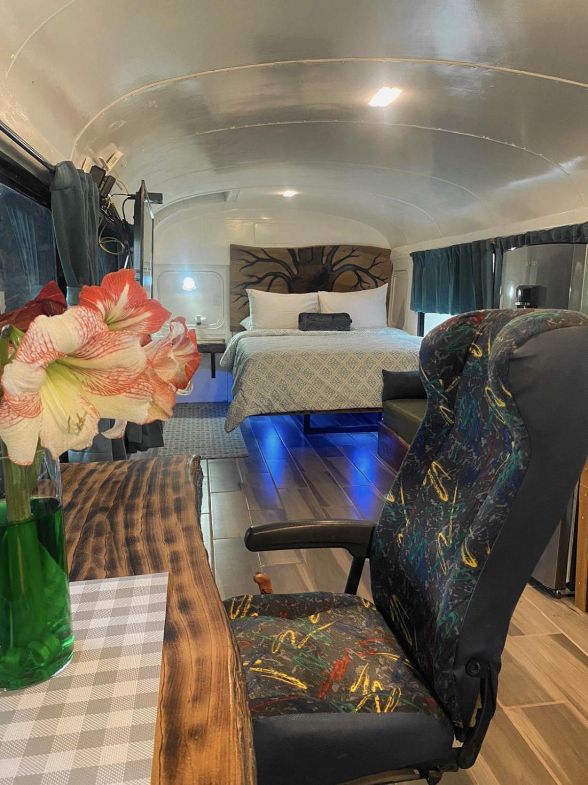 Ficus Wonders Bus