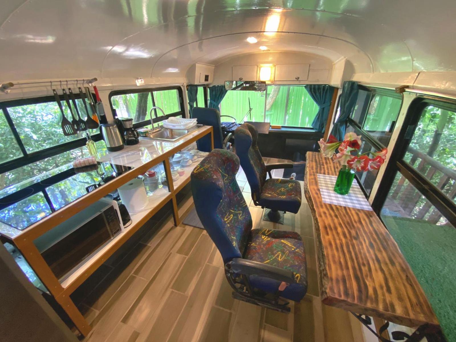 Ficus Wonders Bus