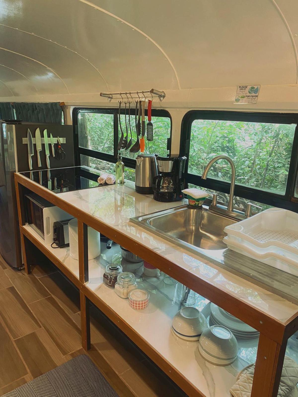 Ficus Wonders Bus