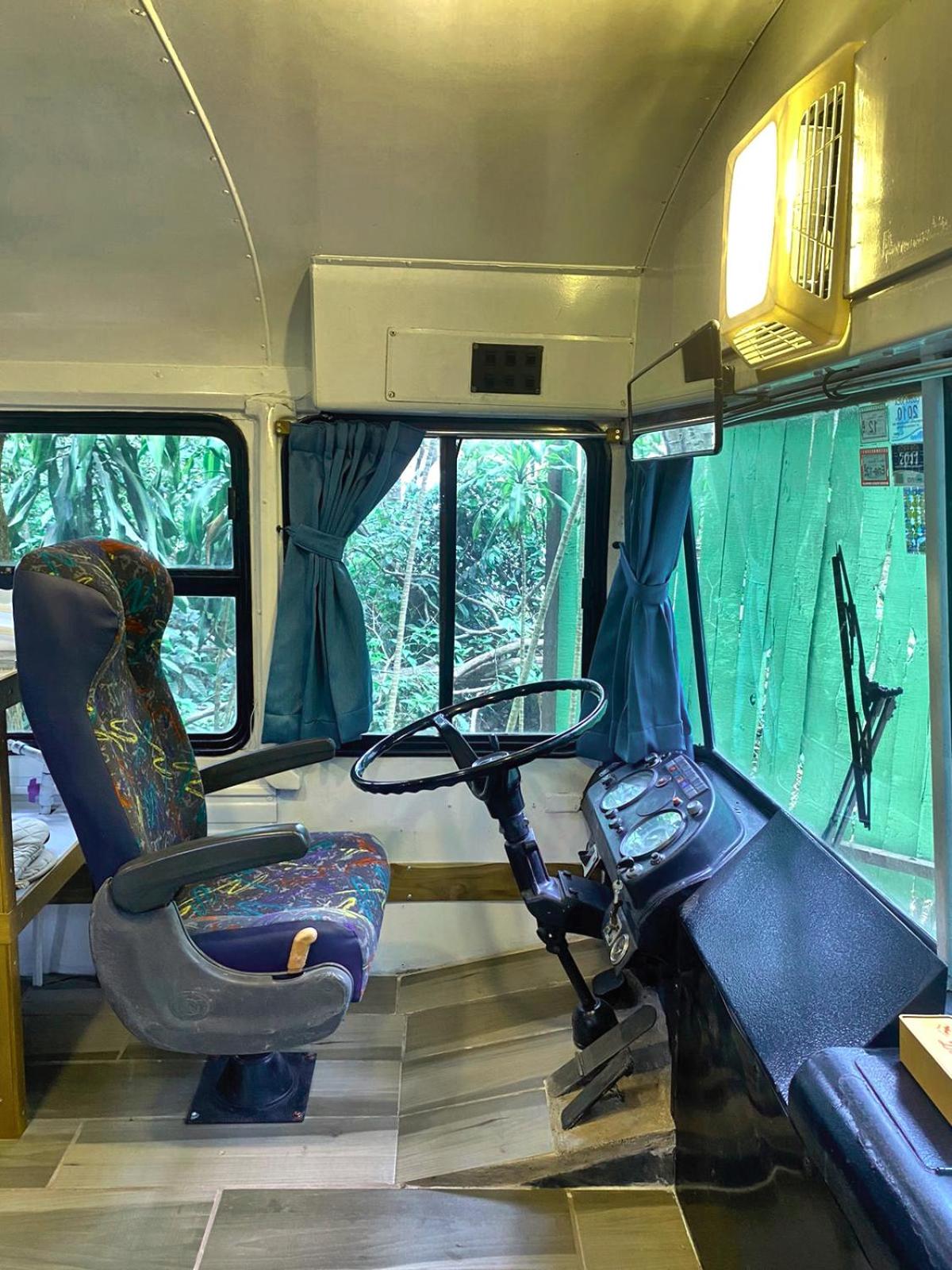 Ficus Wonders Bus