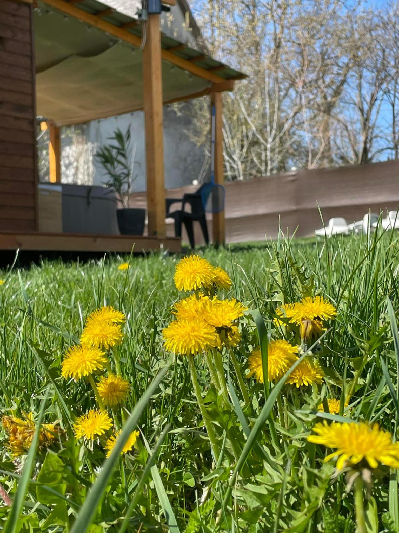 Hetedhét Csillag Apartmanház
