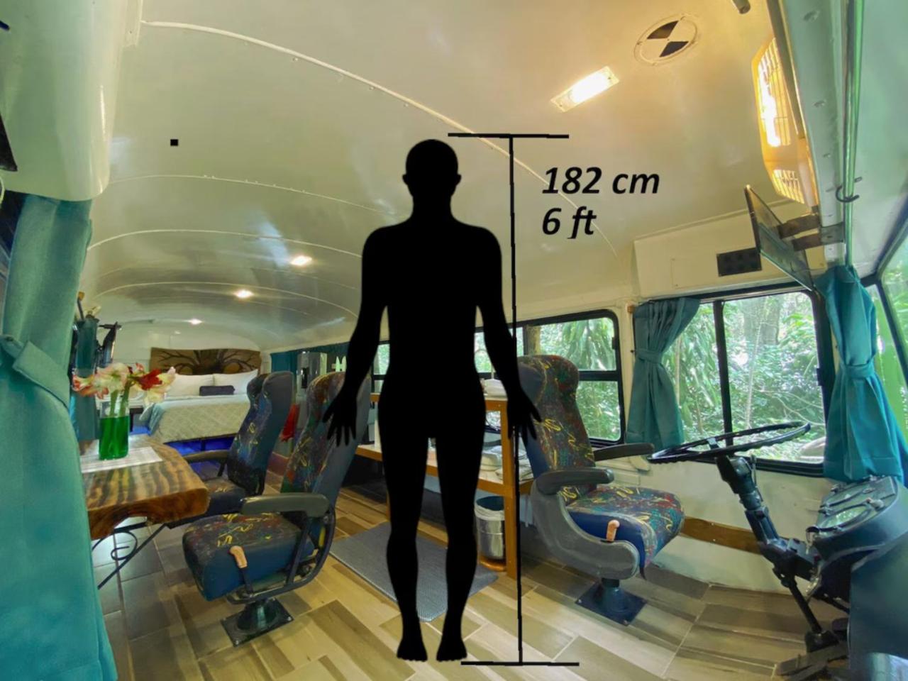 Ficus Wonders Bus