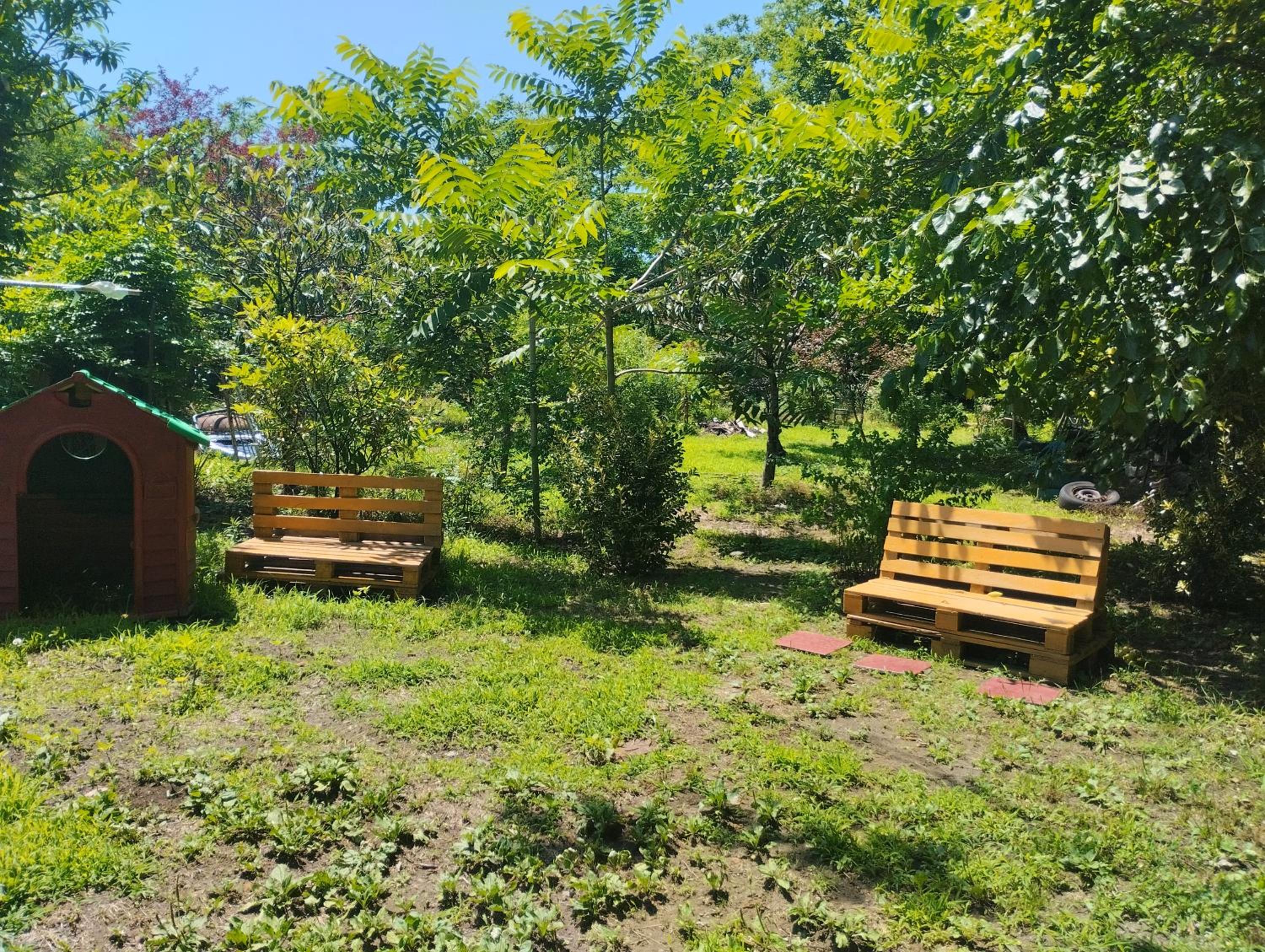 Apartment Adelina