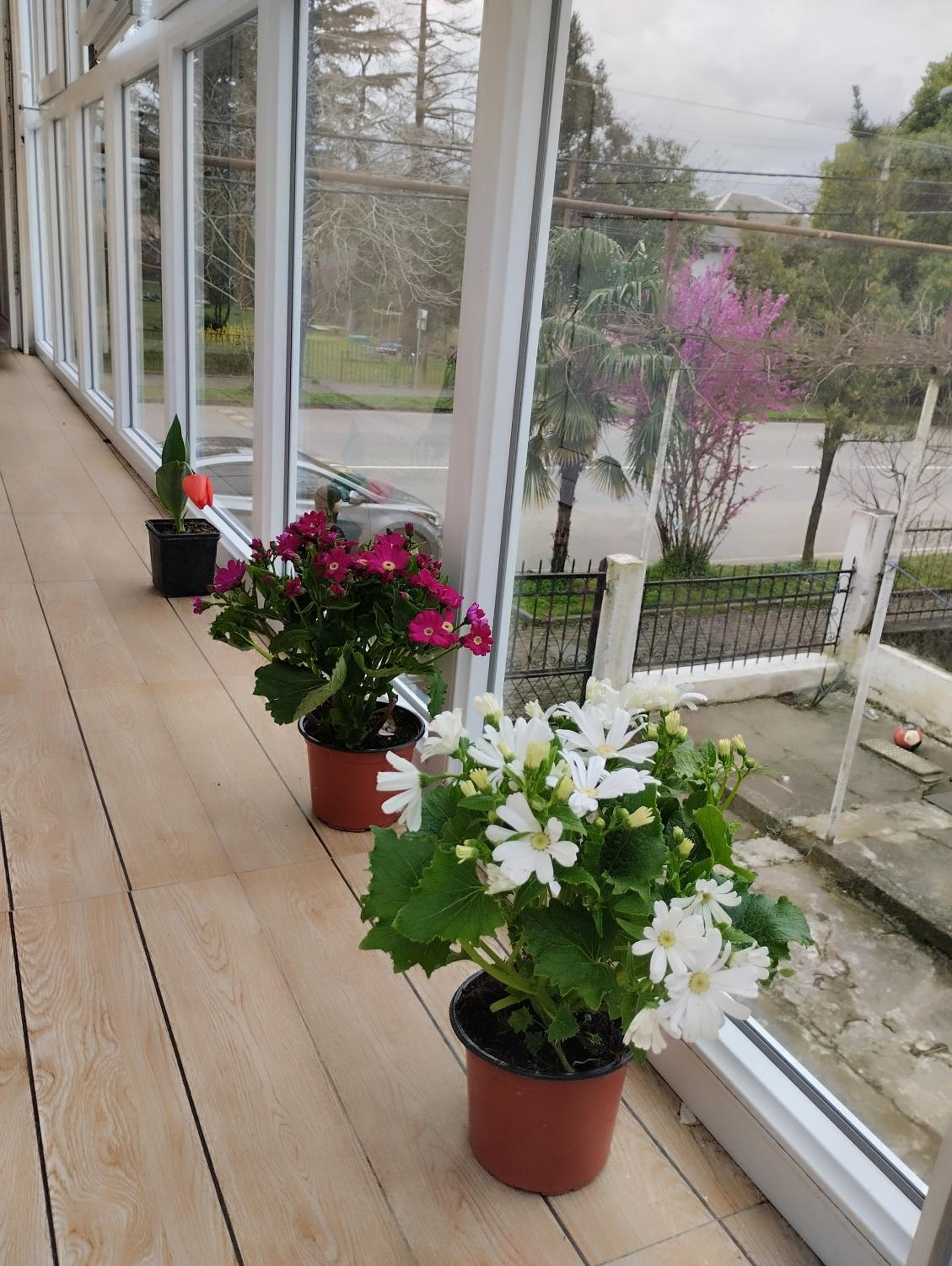 Apartment Adelina