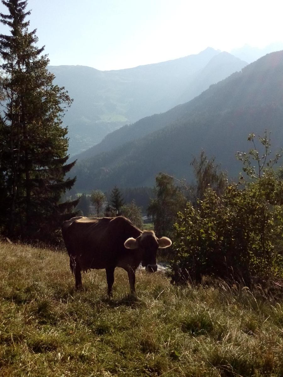 Photo 46