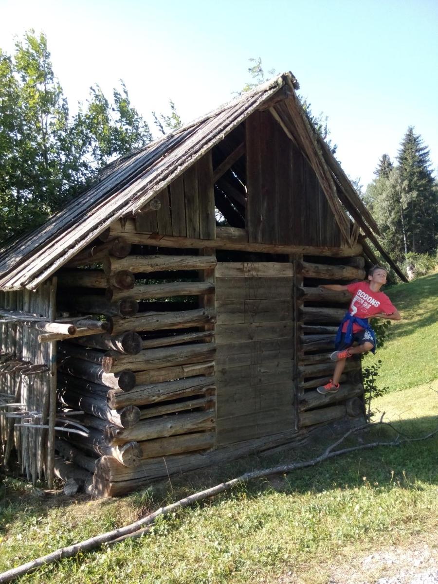 Photo 42