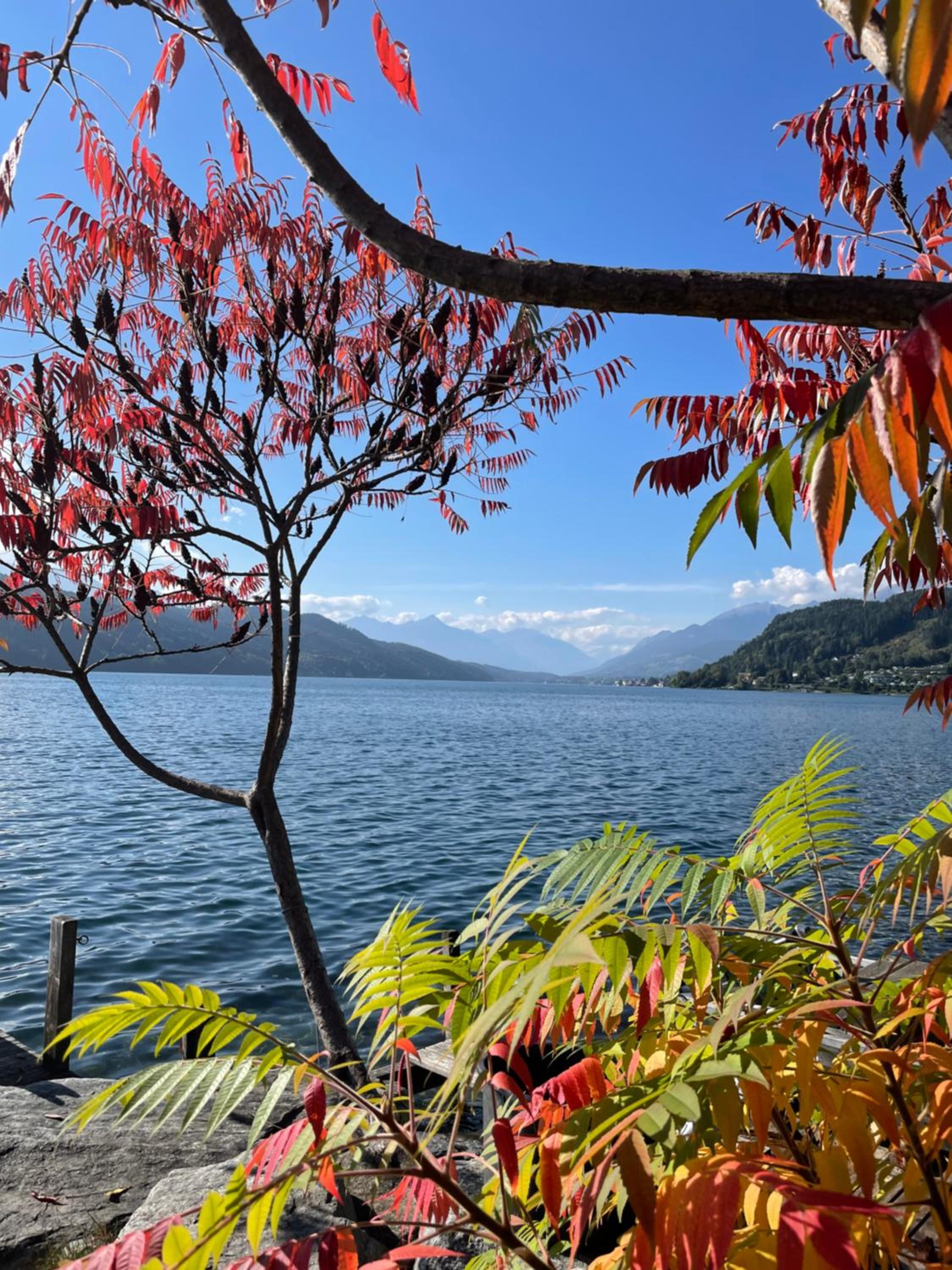 Ferienwohnungen Seerose in Dellach direkt am Millstätter See
