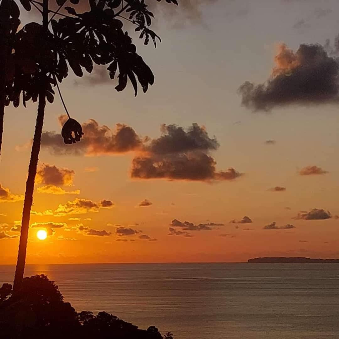 Casita Colibri Playa Rincon Bahia Drake