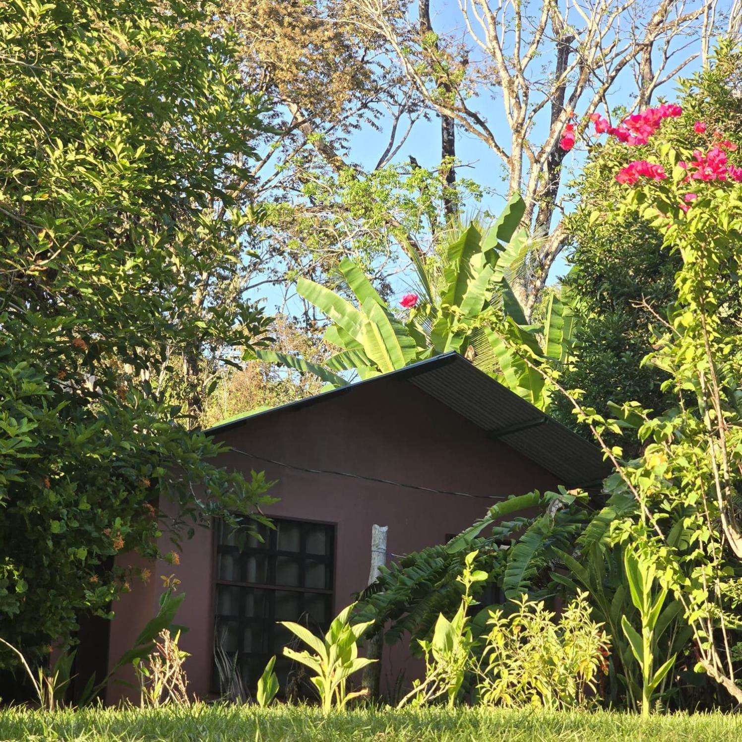 Casita Colibri Playa Rincon Bahia Drake