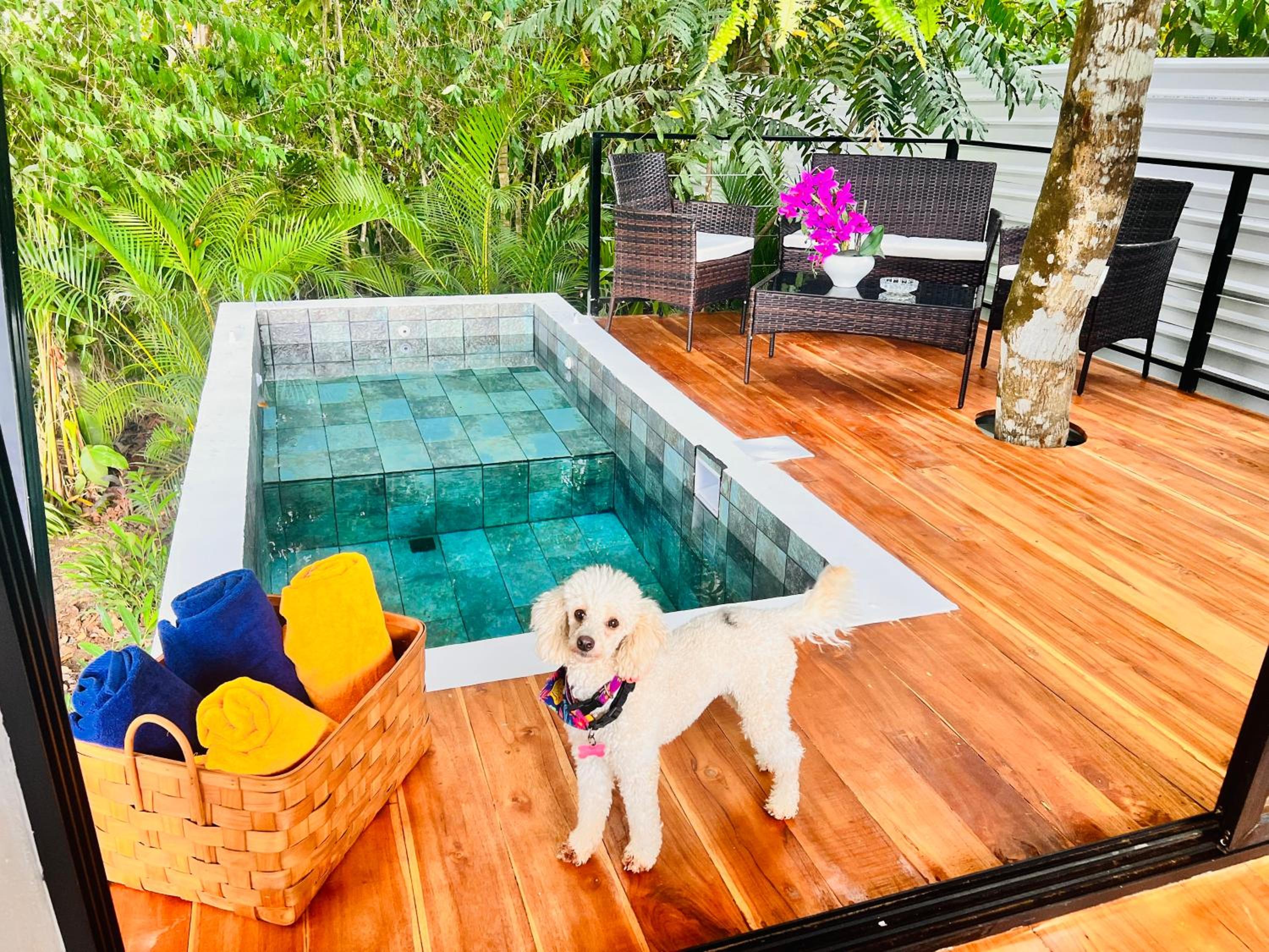 Guest House Pura Vida