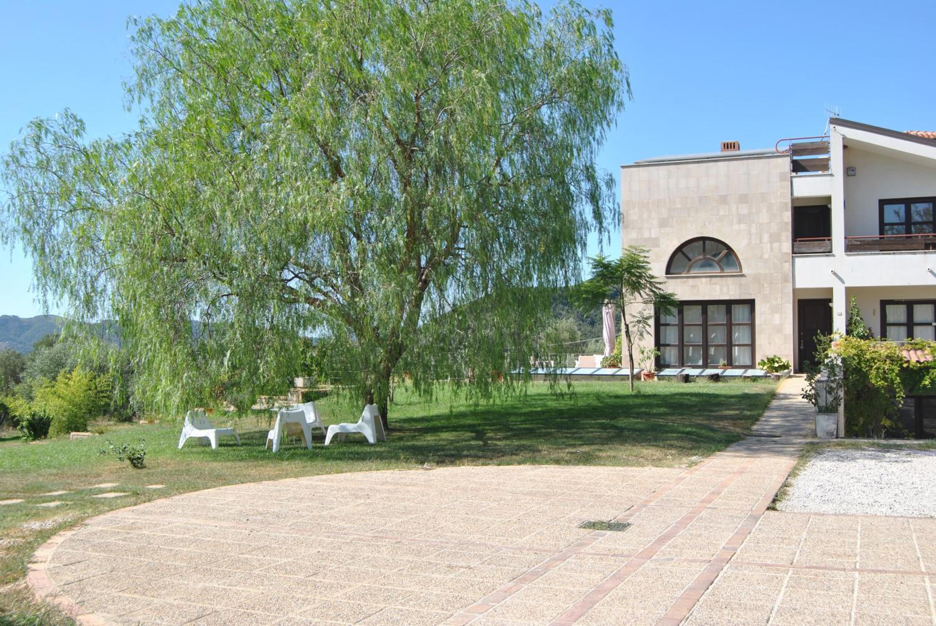 Corbezzolo