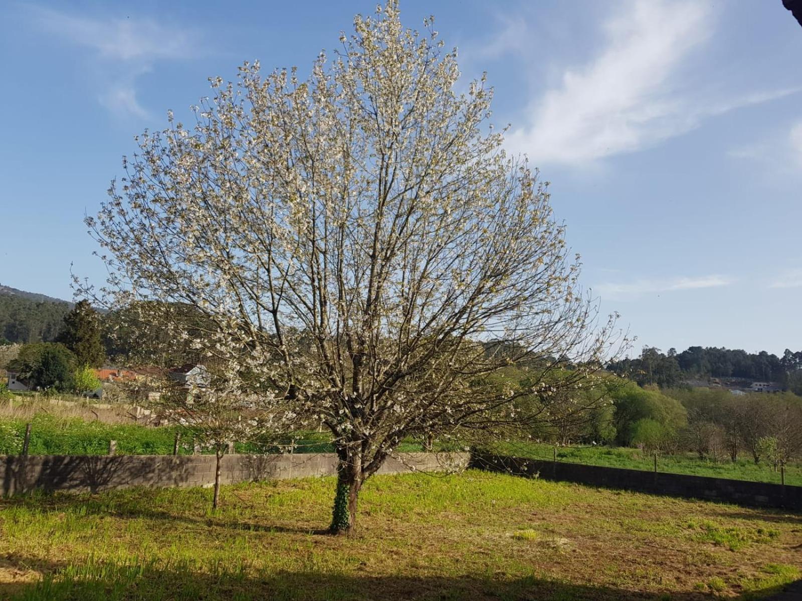 Casa La Porriñesa