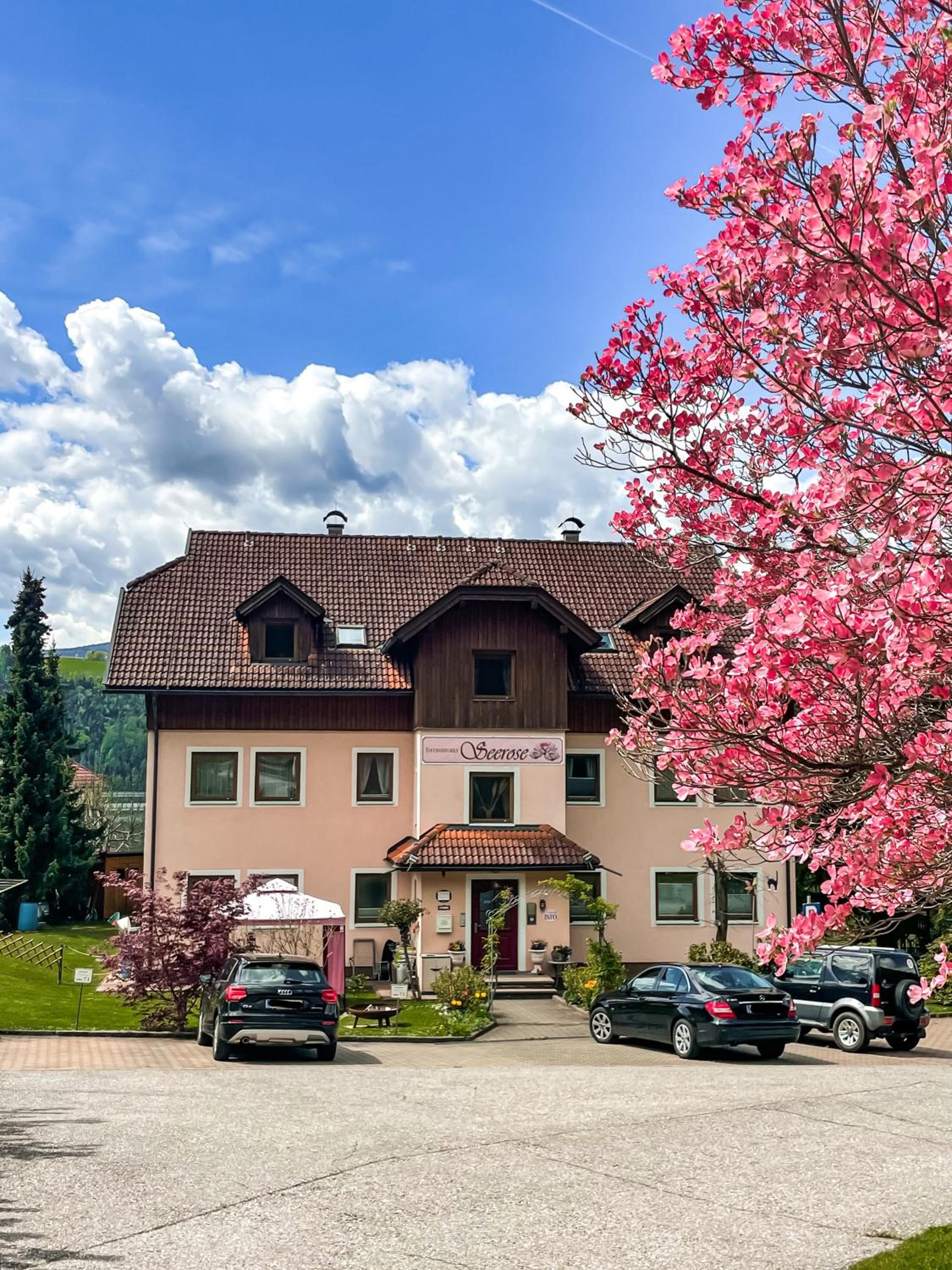 Ferienwohnungen Seerose in Dellach direkt am Millstätter See