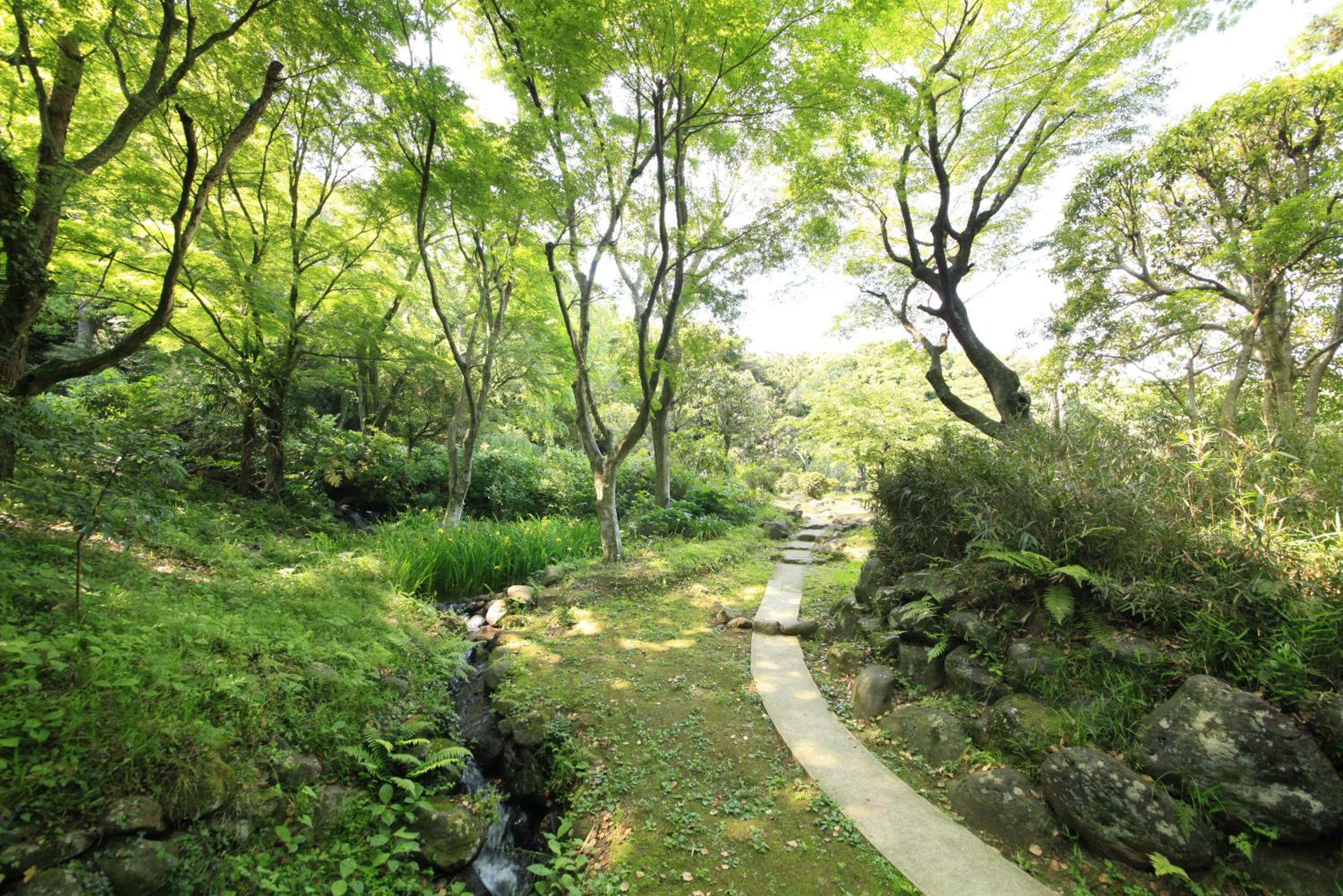 Izuajiro-onsen Shoufuen
