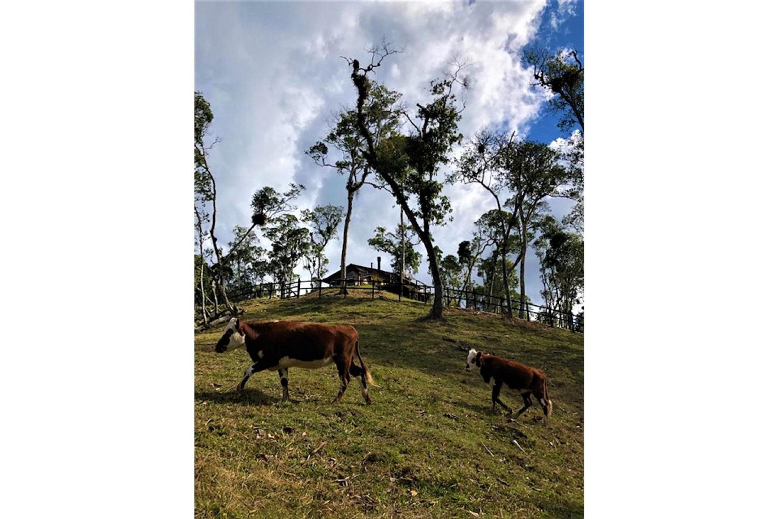 Recanto dos Pássaros na Serra Catarinense