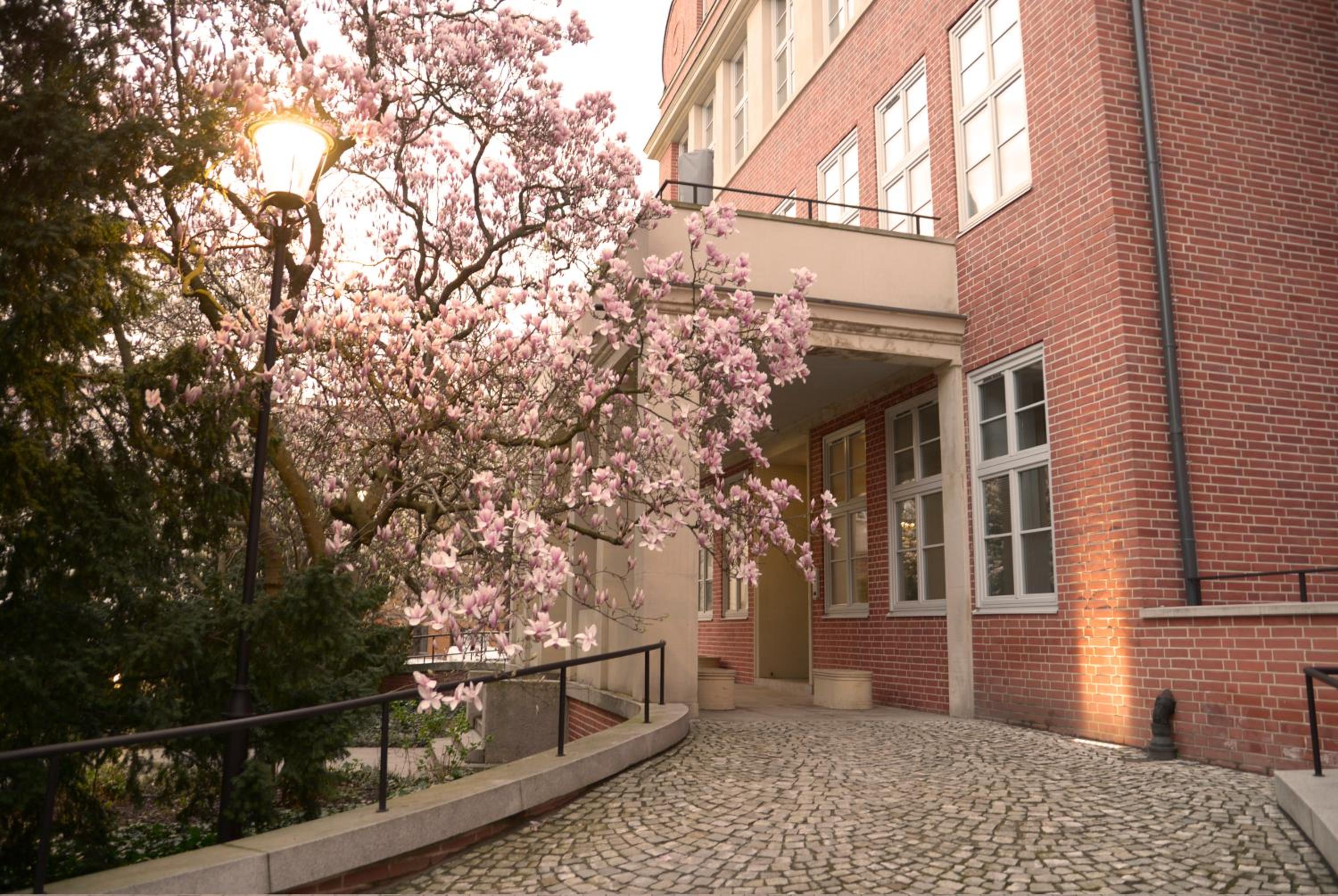 Energetic Apartment in City Center!