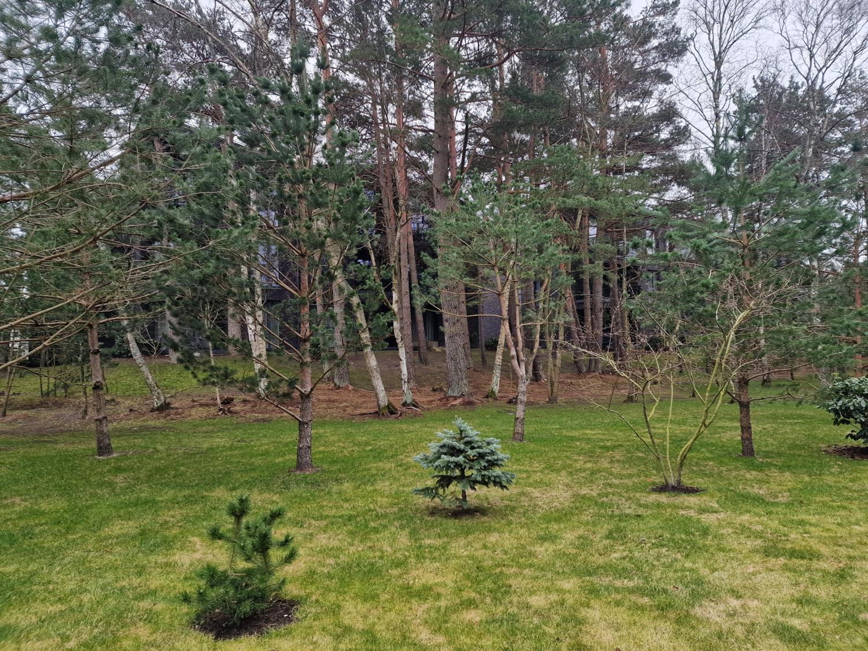 Vanagupe Luxury Palanga Praia