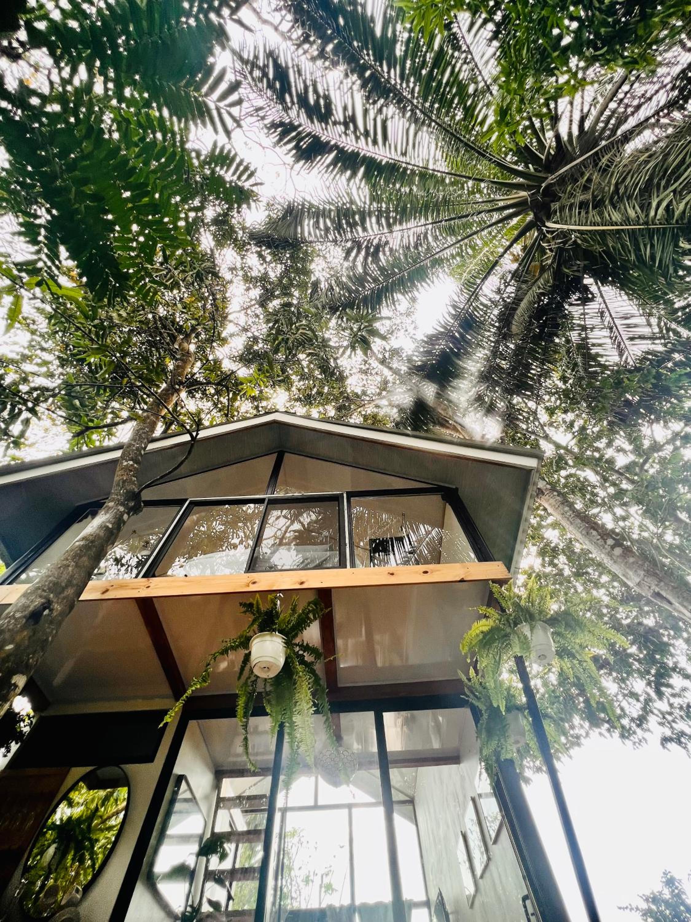 Guest House Pura Vida