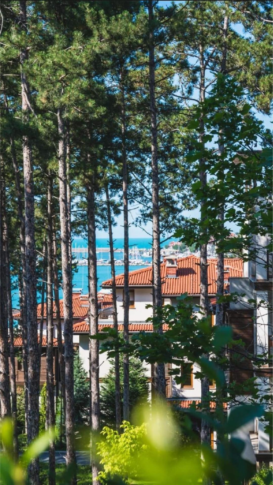 Marina Forest