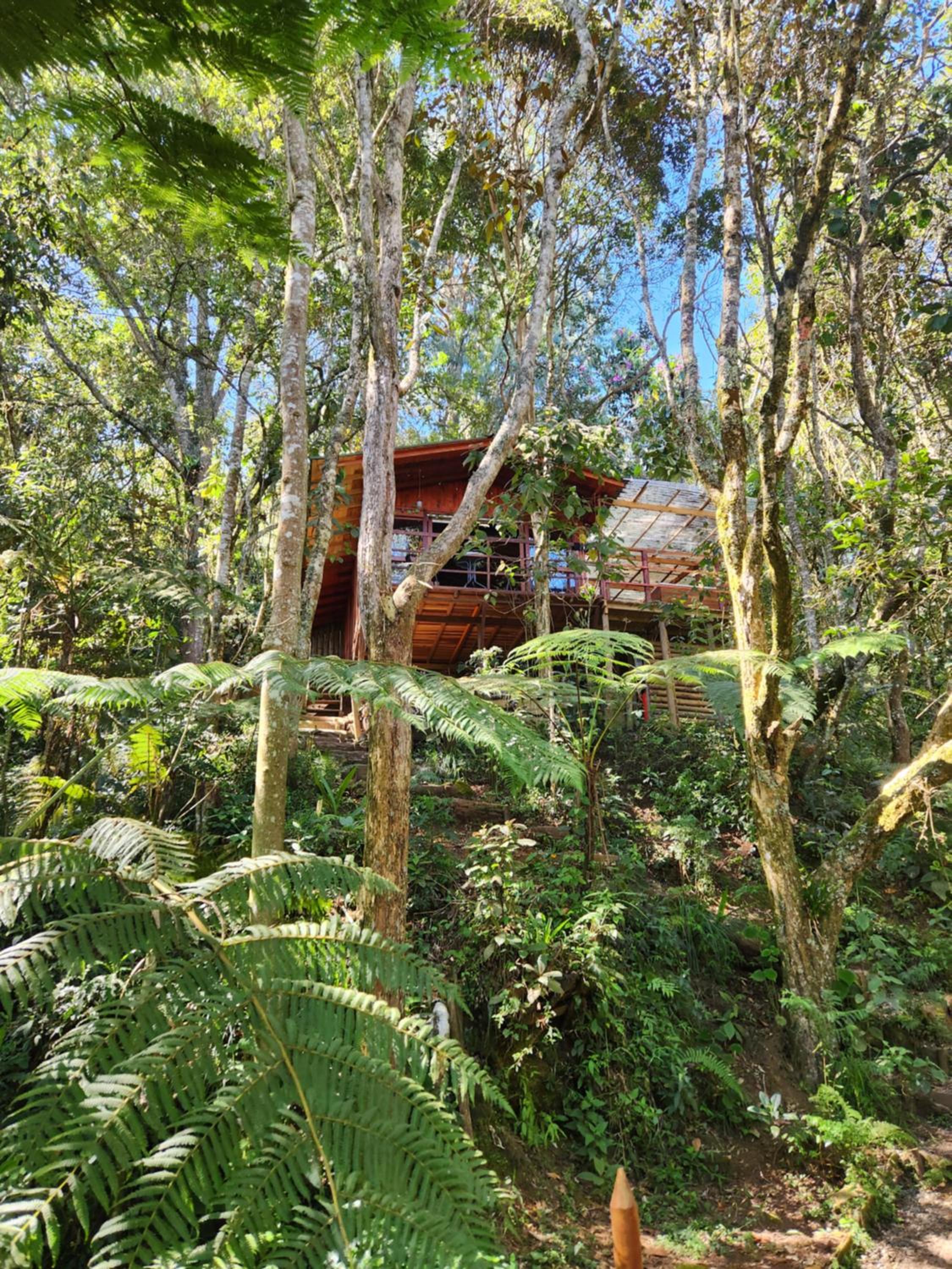 Cabaña en Medio del Bosque con Jacuzzi - Santa Elena